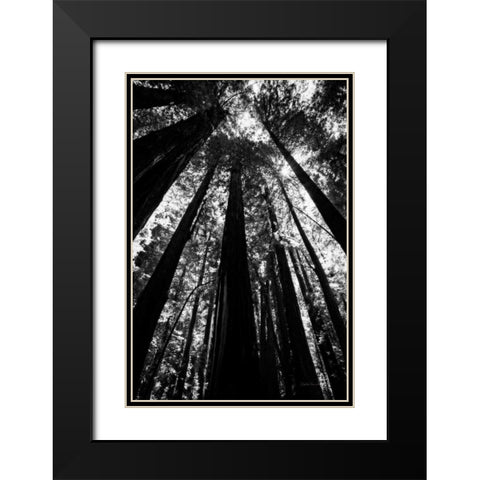 The Stand BW Black Modern Wood Framed Art Print with Double Matting by Van Swearingen, Debra