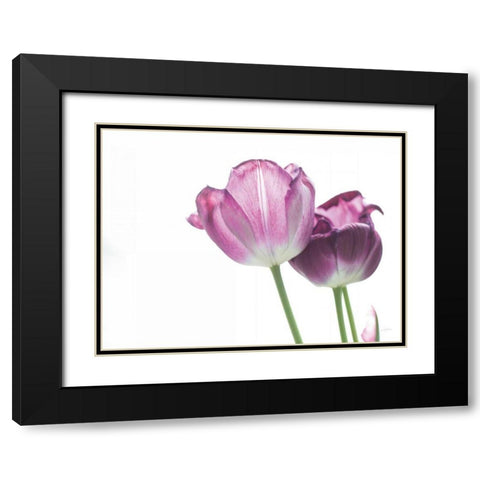 Tulip Time I Black Modern Wood Framed Art Print with Double Matting by Aledanda
