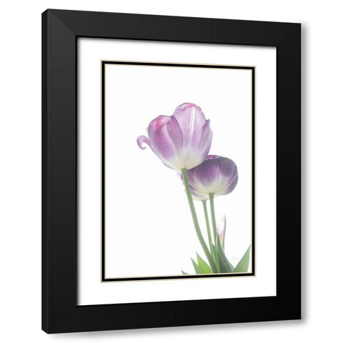Tulip Time III Black Modern Wood Framed Art Print with Double Matting by Aledanda