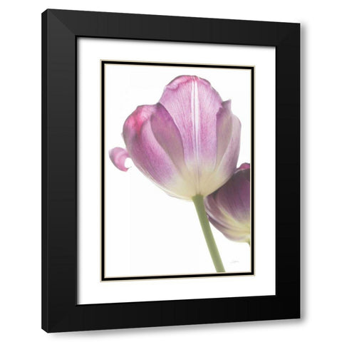 Tulip Time IV Black Modern Wood Framed Art Print with Double Matting by Aledanda
