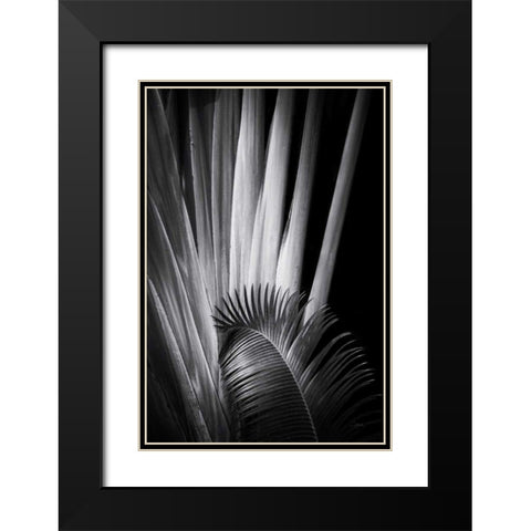 Tropical II Black Modern Wood Framed Art Print with Double Matting by Aledanda