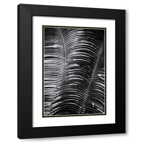 Tropical III Black Modern Wood Framed Art Print with Double Matting by Aledanda