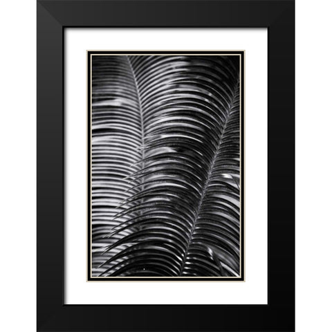 Tropical III Black Modern Wood Framed Art Print with Double Matting by Aledanda