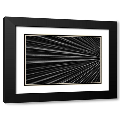 Tropical IV Black Modern Wood Framed Art Print with Double Matting by Aledanda
