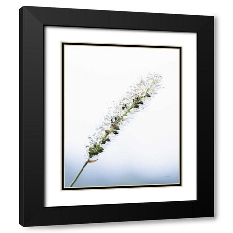 Seeds and Water I Black Modern Wood Framed Art Print with Double Matting by Aledanda