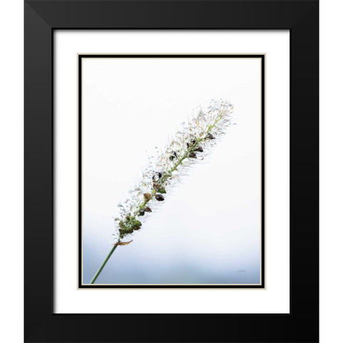 Seeds and Water I Black Modern Wood Framed Art Print with Double Matting by Aledanda
