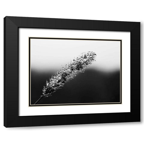 Seeds and Water II Black Modern Wood Framed Art Print with Double Matting by Aledanda