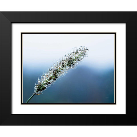 Seeds and Water III Black Modern Wood Framed Art Print with Double Matting by Aledanda