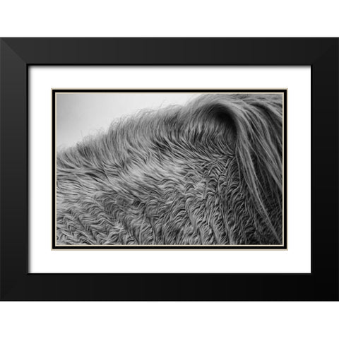 Horse Hair Black Modern Wood Framed Art Print with Double Matting by Aledanda