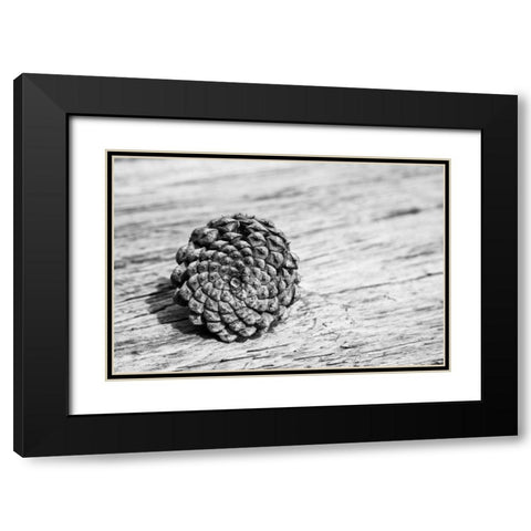 Pinecone Black Modern Wood Framed Art Print with Double Matting by Aledanda