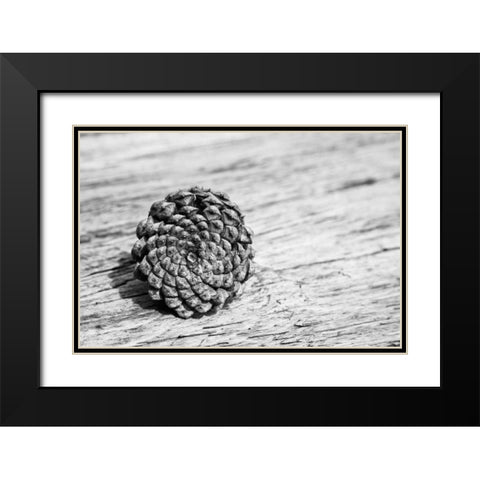 Pinecone Black Modern Wood Framed Art Print with Double Matting by Aledanda