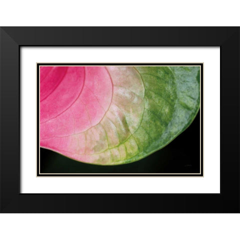 Pink and Green Black Modern Wood Framed Art Print with Double Matting by Aledanda