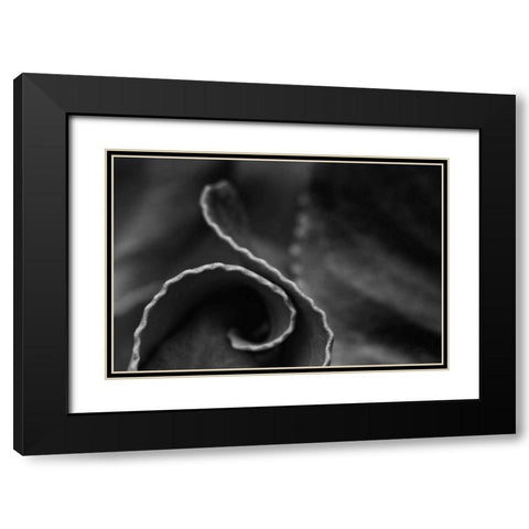Circling Around Black Modern Wood Framed Art Print with Double Matting by Aledanda