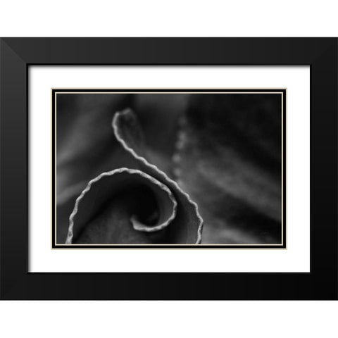 Circling Around Black Modern Wood Framed Art Print with Double Matting by Aledanda