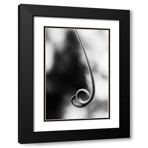 Curly Cue Black Modern Wood Framed Art Print with Double Matting by Aledanda