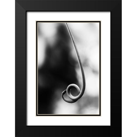 Curly Cue Black Modern Wood Framed Art Print with Double Matting by Aledanda