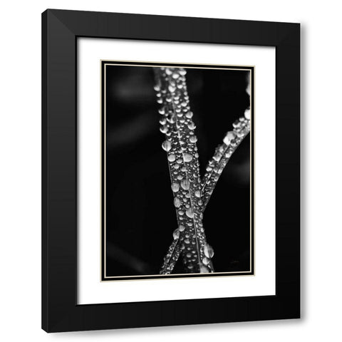 Water Droplets Black Modern Wood Framed Art Print with Double Matting by Aledanda