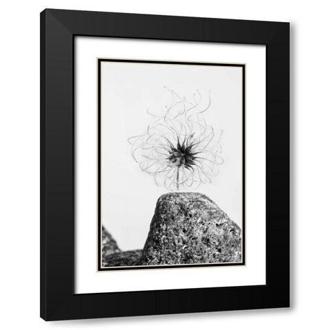 Electrifying Black Modern Wood Framed Art Print with Double Matting by Aledanda