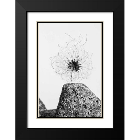 Electrifying Black Modern Wood Framed Art Print with Double Matting by Aledanda