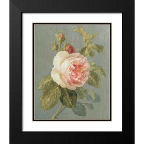 Heirloom Pink Rose Black Modern Wood Framed Art Print with Double Matting by Nai, Danhui