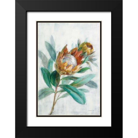 Tropical Protea Black Modern Wood Framed Art Print with Double Matting by Nai, Danhui