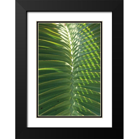 Palm Detail I Black Modern Wood Framed Art Print with Double Matting by Wild Apple Portfolio