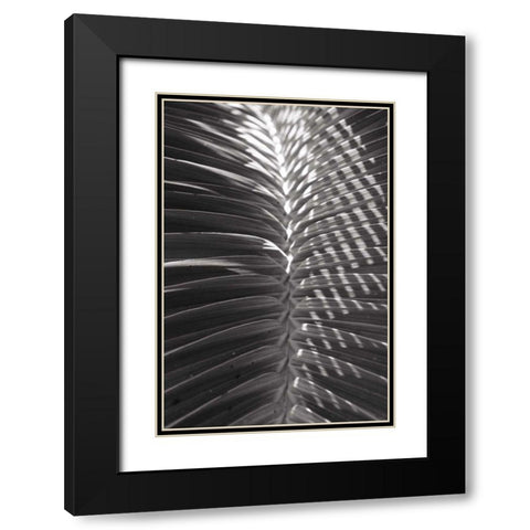 Palm Detail I BW Black Modern Wood Framed Art Print with Double Matting by Wild Apple Portfolio