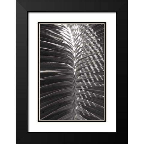 Palm Detail I BW Black Modern Wood Framed Art Print with Double Matting by Wild Apple Portfolio