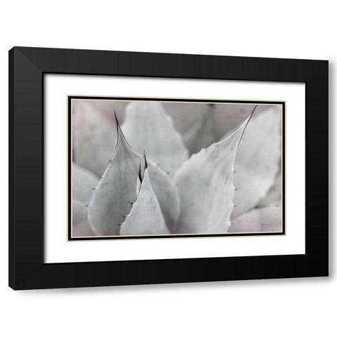 Dream Desert VI BWC Black Modern Wood Framed Art Print with Double Matting by Schlabach, Sue