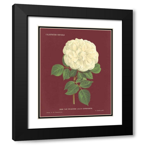Yellow Rose Pomegranate Black Modern Wood Framed Art Print with Double Matting by Wild Apple Portfolio