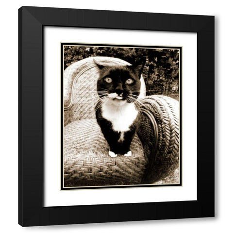 Kitty I Black Modern Wood Framed Art Print with Double Matting by Dratfield, Jim