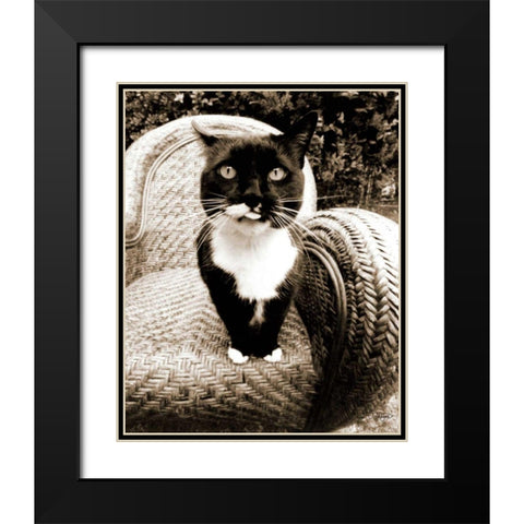 Kitty I Black Modern Wood Framed Art Print with Double Matting by Dratfield, Jim