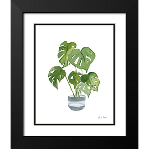 Green House Plants II Black Modern Wood Framed Art Print with Double Matting by Zaman, Farida