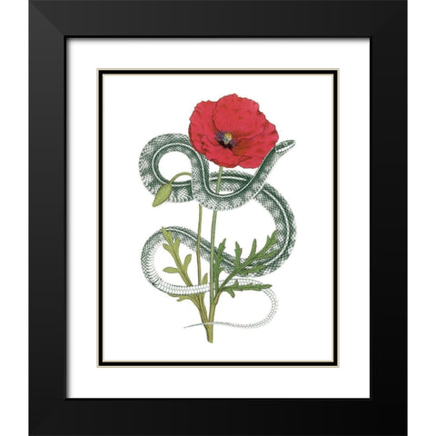 Natural Beauty I Black Modern Wood Framed Art Print with Double Matting by Wild Apple Portfolio