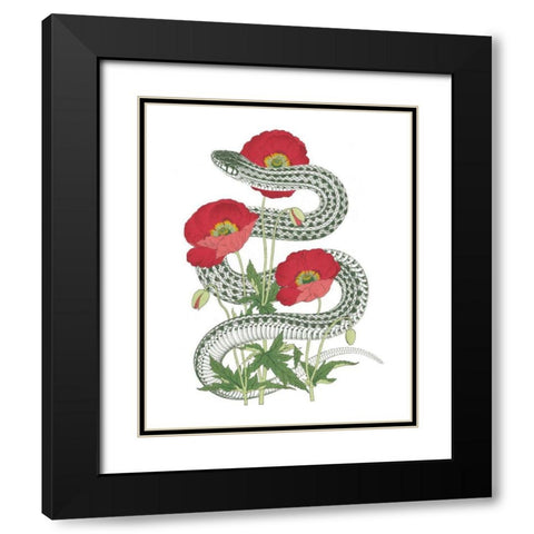 Natural Beauty II Black Modern Wood Framed Art Print with Double Matting by Wild Apple Portfolio