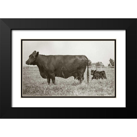 Cow and Baby Black Modern Wood Framed Art Print with Double Matting by Goldstein, Ed