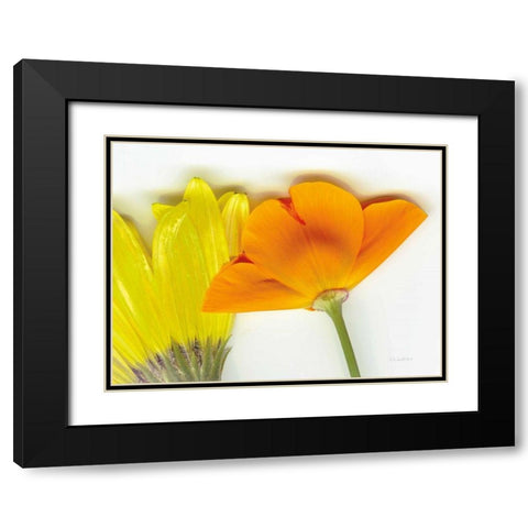 Flower Friends Black Modern Wood Framed Art Print with Double Matting by Goldstein, Ed