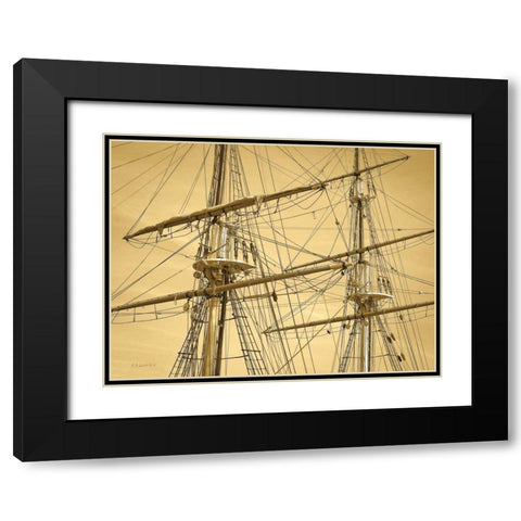Crows Nest Black Modern Wood Framed Art Print with Double Matting by Goldstein, Ed