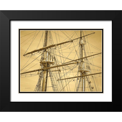 Crows Nest Black Modern Wood Framed Art Print with Double Matting by Goldstein, Ed