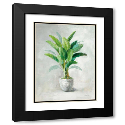 Greenhouse Palm II Black Modern Wood Framed Art Print with Double Matting by Nai, Danhui