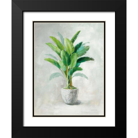 Greenhouse Palm II Black Modern Wood Framed Art Print with Double Matting by Nai, Danhui