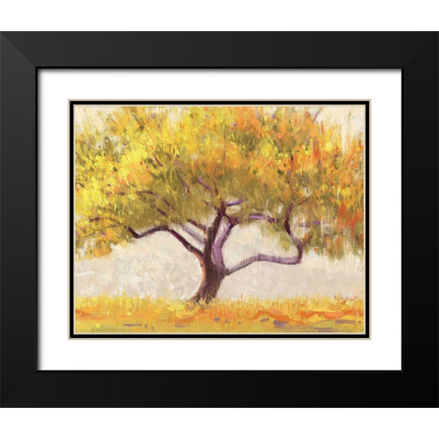 Apricot Tree Black Modern Wood Framed Art Print with Double Matting by Novak, Shirley