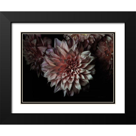 Peach Dahlias Black Modern Wood Framed Art Print with Double Matting by Catterall, Elise