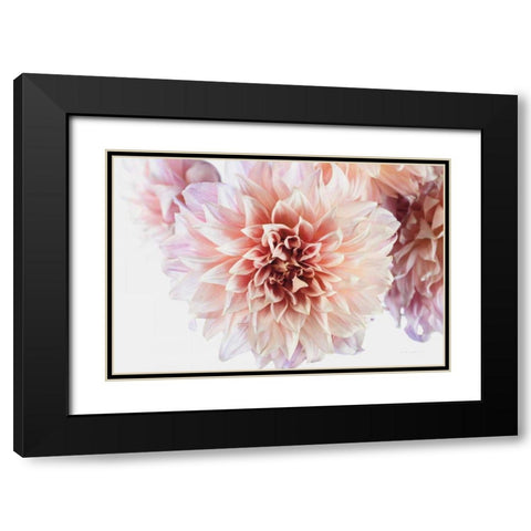 Peach Dahlias Light Black Modern Wood Framed Art Print with Double Matting by Catterall, Elise