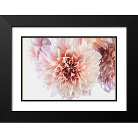 Peach Dahlias Light Black Modern Wood Framed Art Print with Double Matting by Catterall, Elise