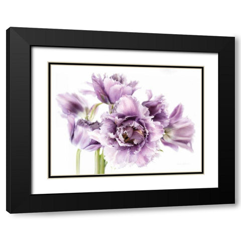 Purple Fringed Tulips I Black Modern Wood Framed Art Print with Double Matting by Catterall, Elise