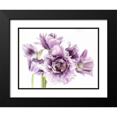 Purple Fringed Tulips I Black Modern Wood Framed Art Print with Double Matting by Catterall, Elise