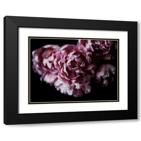 Pink Double Tulips Black Modern Wood Framed Art Print with Double Matting by Catterall, Elise