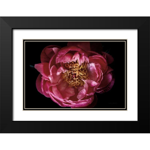 Coral Peony Black Modern Wood Framed Art Print with Double Matting by Catterall, Elise