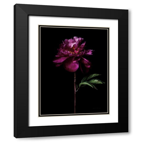 Peony Portrait Black Modern Wood Framed Art Print with Double Matting by Catterall, Elise